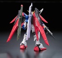 RG #11 Destiny Gundam
