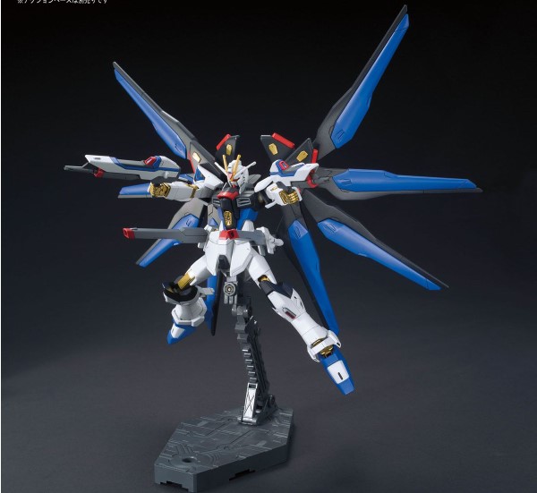 HG Strike Freedom #201