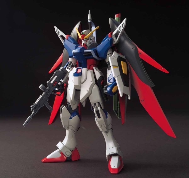 HG Destiny Gundam #224