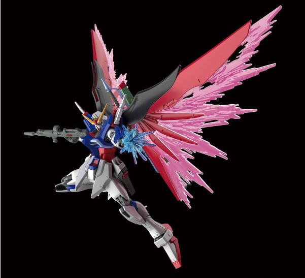 HG Destiny Gundam #224